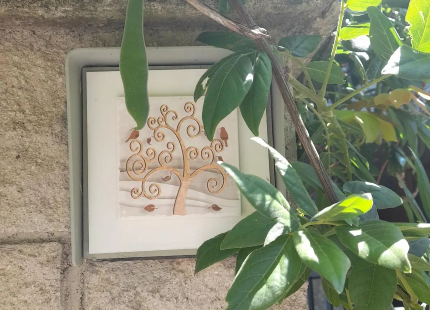 Via Buonarroti Bed & Breakfast Follonica Italy
